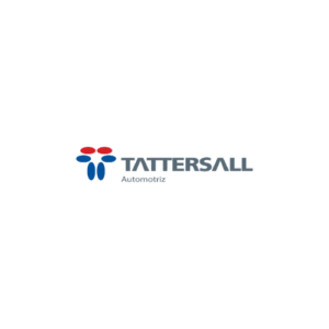 TATTERSALL AUTOMOTRIZ